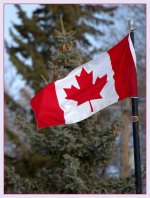 FLAG DSC_7813-flag-2016-03-19 -1.jpg