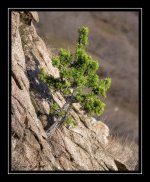 W_DSC_2190.jpg