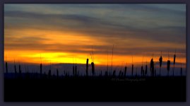 Sunset 3-19-2016.jpg