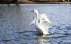 DSC_8542.jpg
