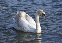 DSC_8544.jpg
