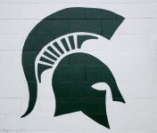 MSU Logo.jpg