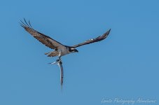 DSC_5614.jpg