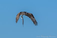 DSC_5613.jpg