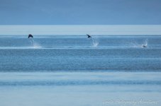 DSC_5540.jpg