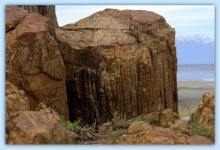 Fantastic Metamorphic Rock  3-20-2016.jpg