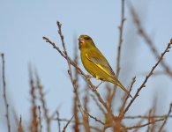 DSCN1184.jpg