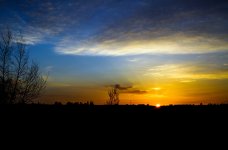 600_5253.jpg