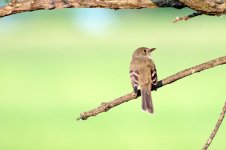 DSC_6944_edited_2.jpg