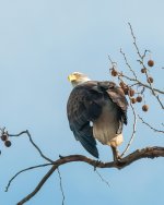 DSC_5314-1.jpg