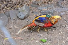 The Bird Gardens.26.jpg