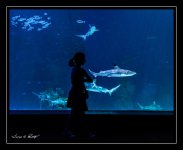 W_DSC_2664.jpg