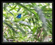 W_DSC_2735.jpg