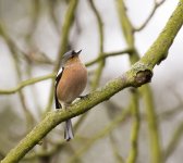 DSC_8677.jpg