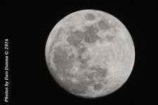 Moon-3677-Edit.jpg