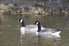 DSC_8562.jpg