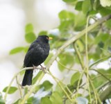DSC_8689.jpg