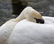 DSC_8656.jpg