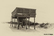 DSC04556-Edit-2.jpg