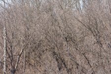 untitled-3690.jpg