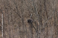 untitled-3699.jpg
