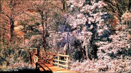 3-22-16 Tradewinds IR   1.1sm.jpg