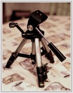 table top tripod-DSC_8238-0001.jpg table top tripod-DSC_8238-0001.jpg