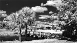 3-22-16 Tradewinds IR   3BW.jpg