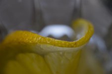 DSC_2411.jpg
