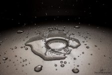 Water Droplets-2-1-12.jpg