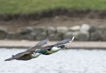 DSC_8808.jpg