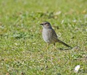 DSC_8956.jpg
