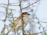 DSC_8850.jpg