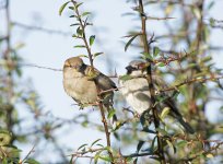 DSC_8837.jpg