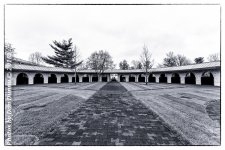 20160325-3906-Edit.jpg