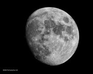 P3190005-Edit.jpg