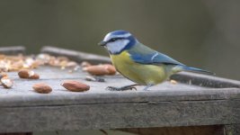 March 27, 2016-0131-Edit.jpg