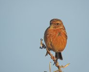 DSCN0670.jpg