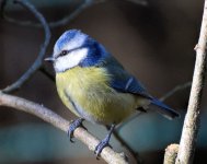 DSC_0059.JPG
