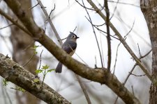 Seven Lakes Park.-.jpg