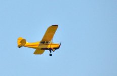 ROY_2481.JPG
