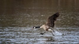 Seven Lakes Park.--2.jpg