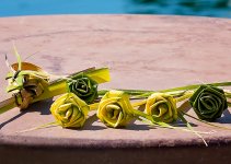 Palm Frond Roses, $1.jpg