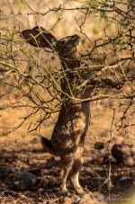 DSC_6321.jpg