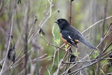 Seven Lakes Park.--4.jpg