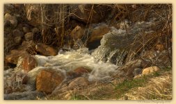 Creek Running out of the Mountains  3-27-2016.jpg