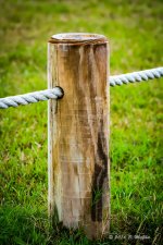 D71_9080-Edit-Edit.jpg