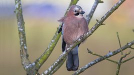 March 27, 2016-0112-Edit-Edit.jpg