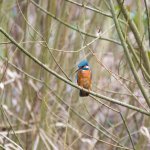 March 27, 2016-0322-Edit.jpg