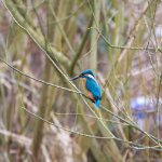 March 27, 2016-0318-Edit.jpg March 27, 2016-0318-Edit.jpg